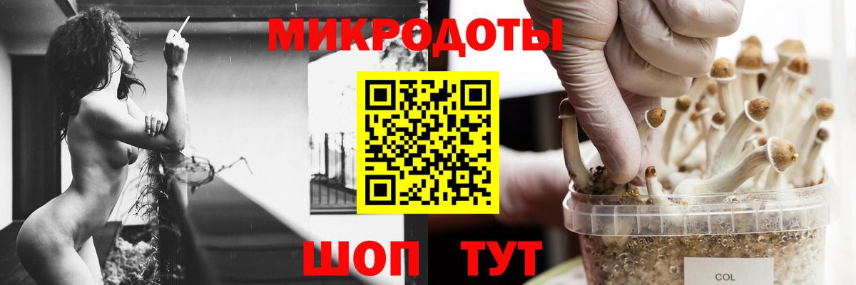 Галлюциногенные грибы MAGIC MUSHROOMS Грязи