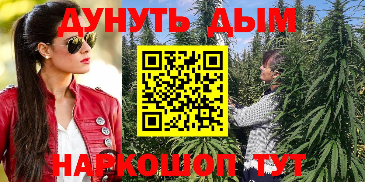 Шишки марихуана Bruce Banner Грязи